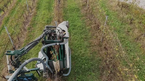 Grape harvest. Rows of vine in vineyards. Grape harvesting machine. Top view Stock Footage 253787982
