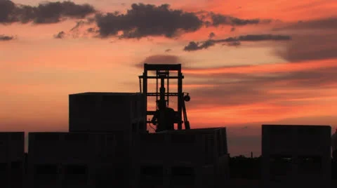 Grape harvest, Texas 2 Stock Footage 23021914