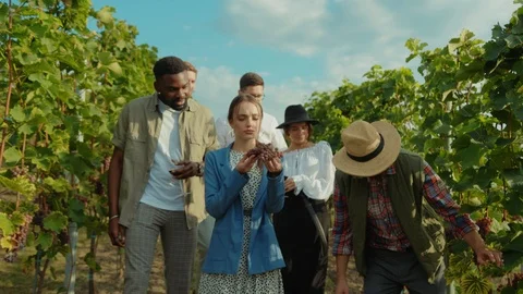 On grape harvest winemaker guiding private tour for wealthy multi-ethnic people Video stock 117254062