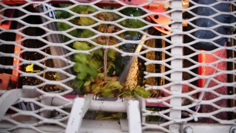 Grape Harvester in Action Stock Footage 233652752