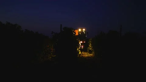 Grape harvester combine machine night time morning dawn dark low light Stockbeeldmateriaal 163735094