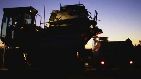 Grape harvester combine machine night time morning dawn dark low light Stockbeeldmateriaal 163735178