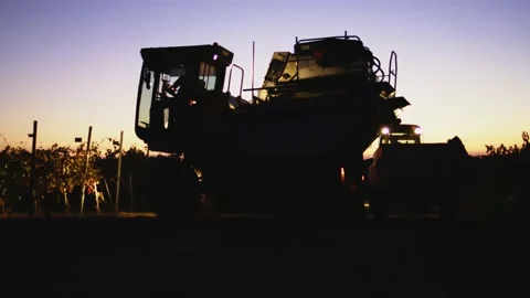 Grape harvester combine machine night time morning dawn dark low light Stockbeeldmateriaal 163735185