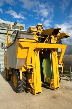 Grape harvester Foto stock