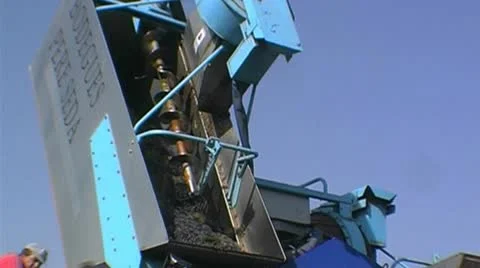 Grape harvesting Video stock 8986436