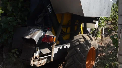 Grape harvesting machine in vineyard. Grape harvester on the field Stock Footage 139266974