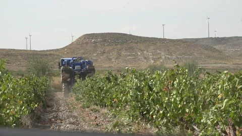 Grape harvesting machine working - 456 Stock Footage 311019607