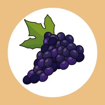 Grape healthy fresh image Stock Illustration