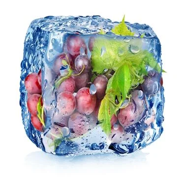 Grape in ice cube イラスト素材
