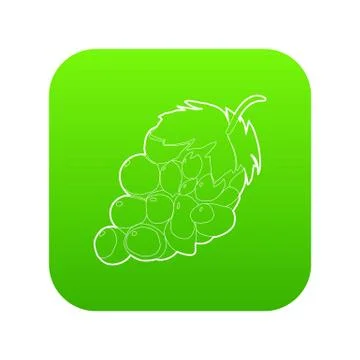 Grape icon green vector Stock Illustration