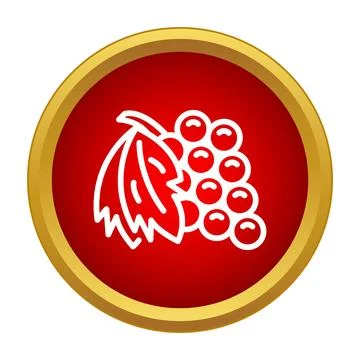 Grape icon with leaf on red and gold button Illustration
