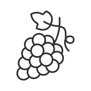 Grape icon in line design. grape grapes fruit food fresh organic vineyard sweet Stock Illustration