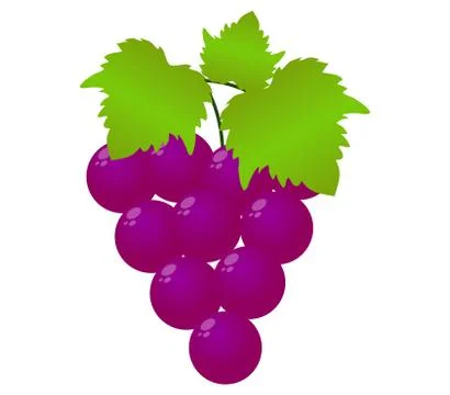 Grape icon on white background Stock Illustration