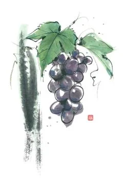 Grape Stock Illustration