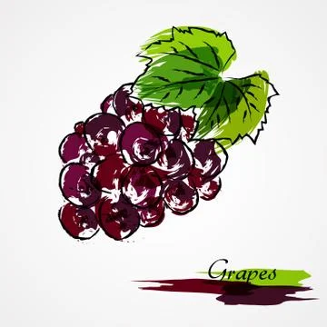 Grape Stock Illustration