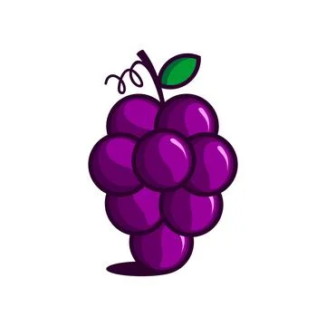 GRAPE Stock Illustration