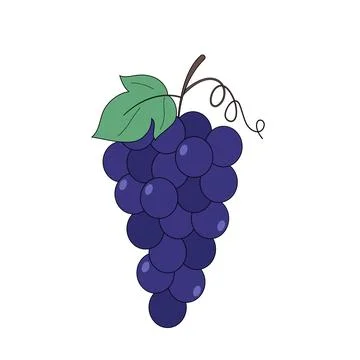 Grape Stock Illustration