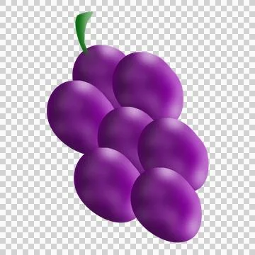 Grape illustration Stock Illustration