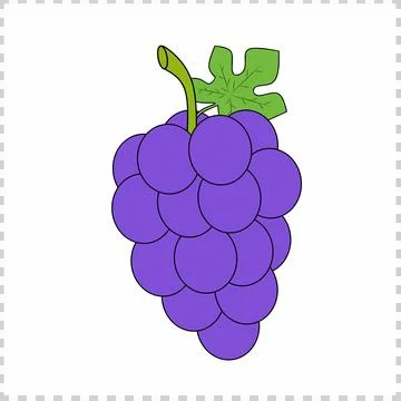 Grape illustration isolated in white background. イラスト素材