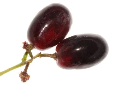 Grape isolated Stock Photos