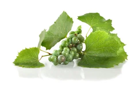 Grape isolated Stock Photos