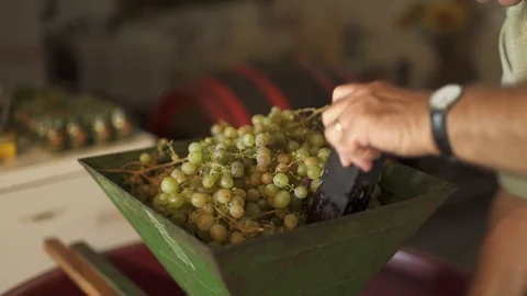 Grape juice extractor, mechanic grape press, stock video Stock Footage 94440520