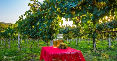 Grape juice Video stock 96211581