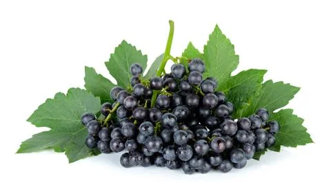 Grape with leaf isolated on the white background Stock Photos