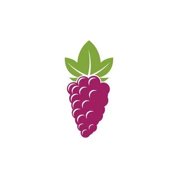 Grape with leaf logo Stockillustratie