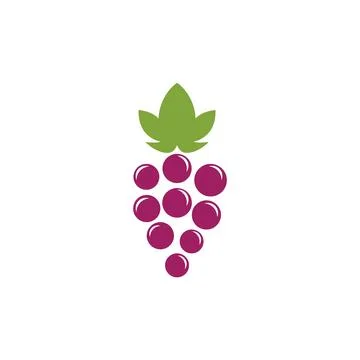 Grape with leaf logo 스톡 일러스트