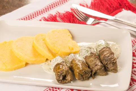 Grape leaf rolls on a traditional background Stock Photos