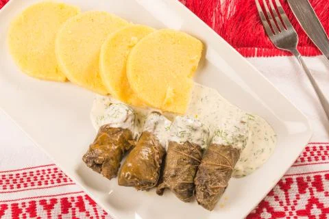 Grape leaf rolls on a traditional background Stock Photos