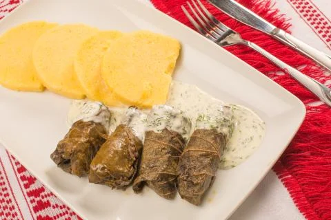 Grape leaf rolls on a traditional background Stock Photos