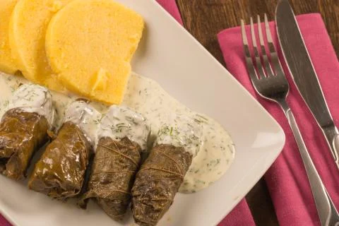 Grape leaf rolls on a traditional background Stock Photos