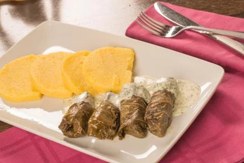 Grape leaf rolls on a traditional background Stock Photos