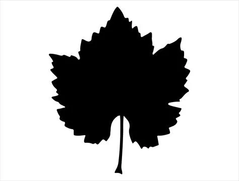 Grape leaf silhouette vector art Stock Illustration