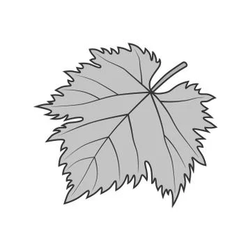Grape leaf vector gray symbol or illustration Stock Illustration