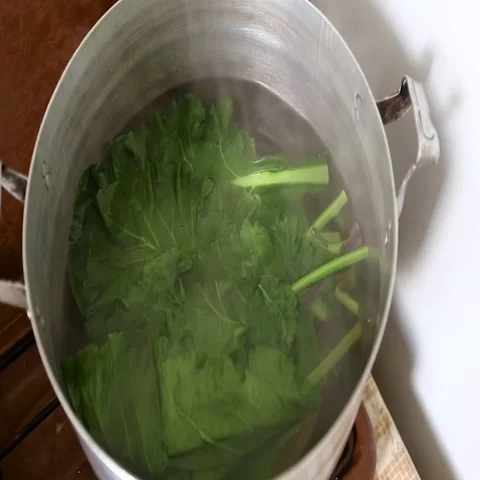 Grape leaves are boiled in a pot for dolma 스톡 동영상 69310332
