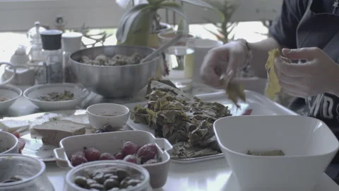 Grape Leaves Stock Footage 234664756