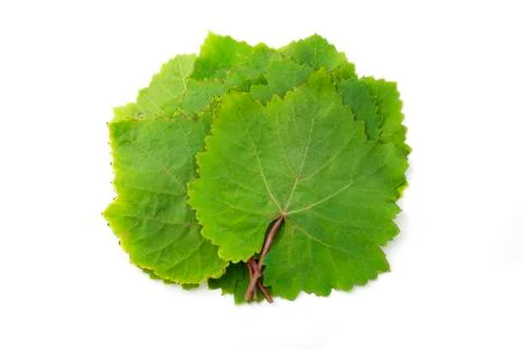 Grape leaves Stock Photos