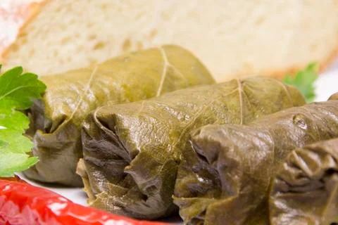 Grape leaves rolls. Sarmale, dolma, dolmades, sarma, golubtsy or golabki. Stock Photos