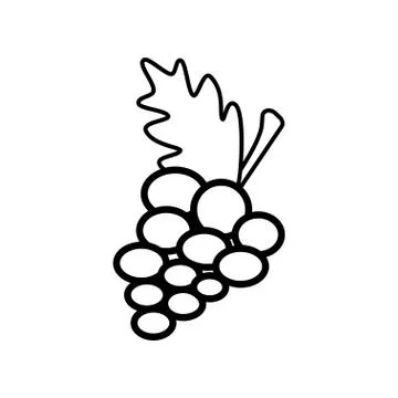 Grape line icon on a white background Stockillustratie