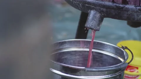 Grape Must running through tap from barrel Grape Must Making Harvesting season Vídeos de archivo 142138127