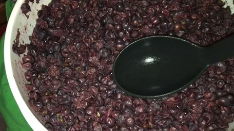 Grape Must Winemaking Video stock 92144936