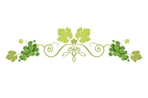 Grape nature divider Stock Illustration