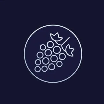 Grape or vineyard vector line icon Stock Illustration
