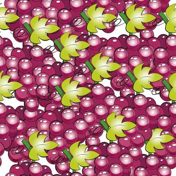 The grape pattern. Stock Illustration