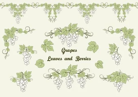 Grape Pattern Set Illustrazione stock