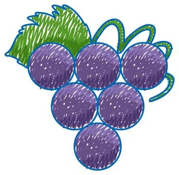 Grape pencil colour child scribble style Stock Illustration
