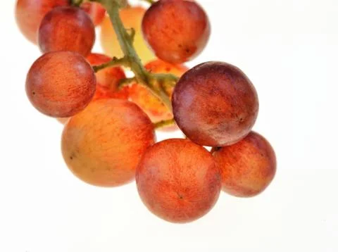 Grape Stock Photos